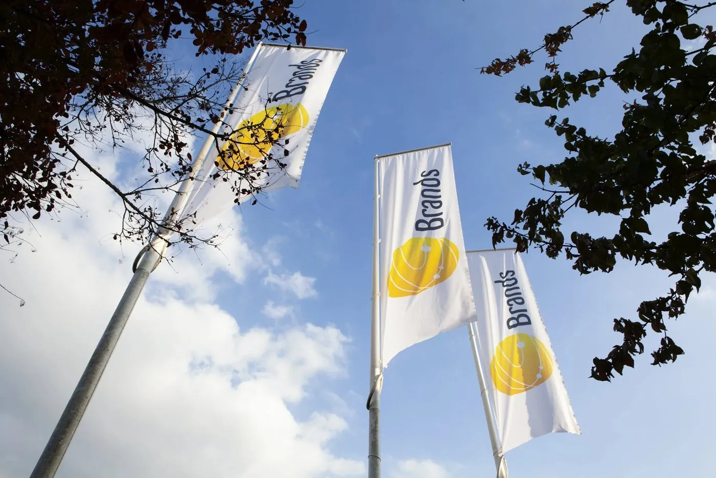 Vlaggen bij het kantoor van Brands Group