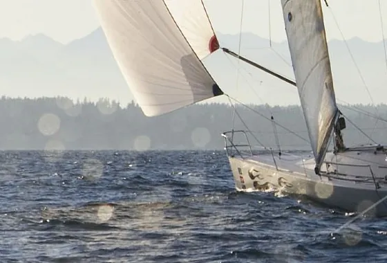 Zeilboot op het water