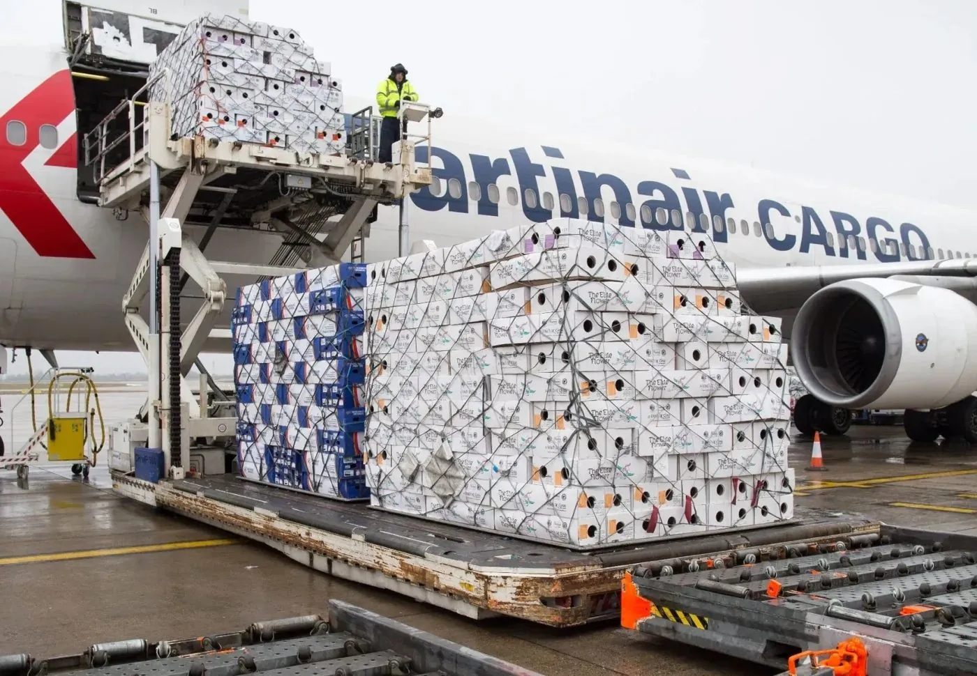 Vacuümkoeling van snijbloemen op een luchtvrachtpallet